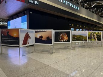 Photo exhibition about the wildlife of Kamchatka opened in Sheremetyevo